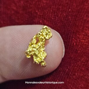 Pépite naturelle kalgoorlie Australie 141