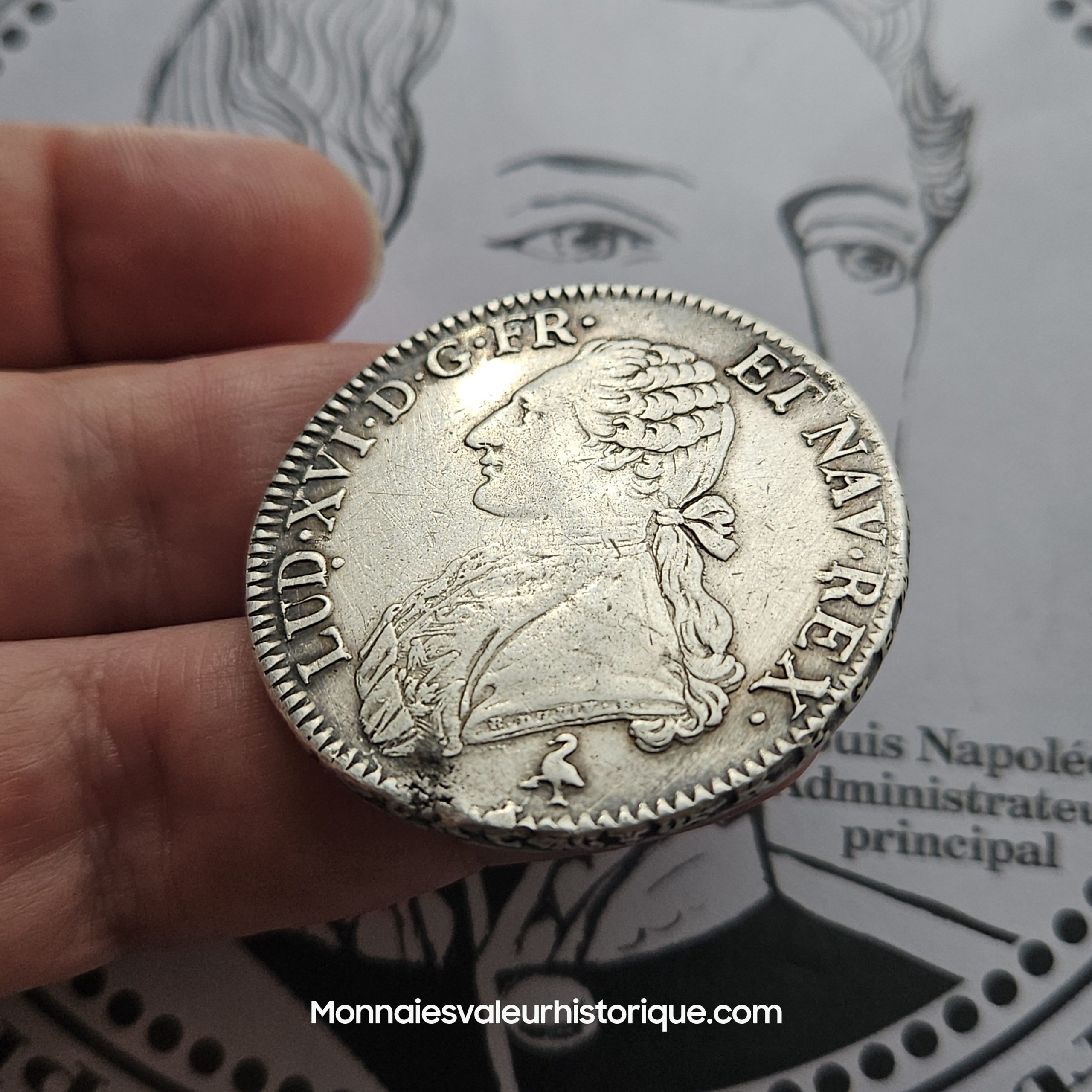 Écu Louis XVI 1783 Paris – Pièce de collection – TTB+ – Superbe patine – Image 3