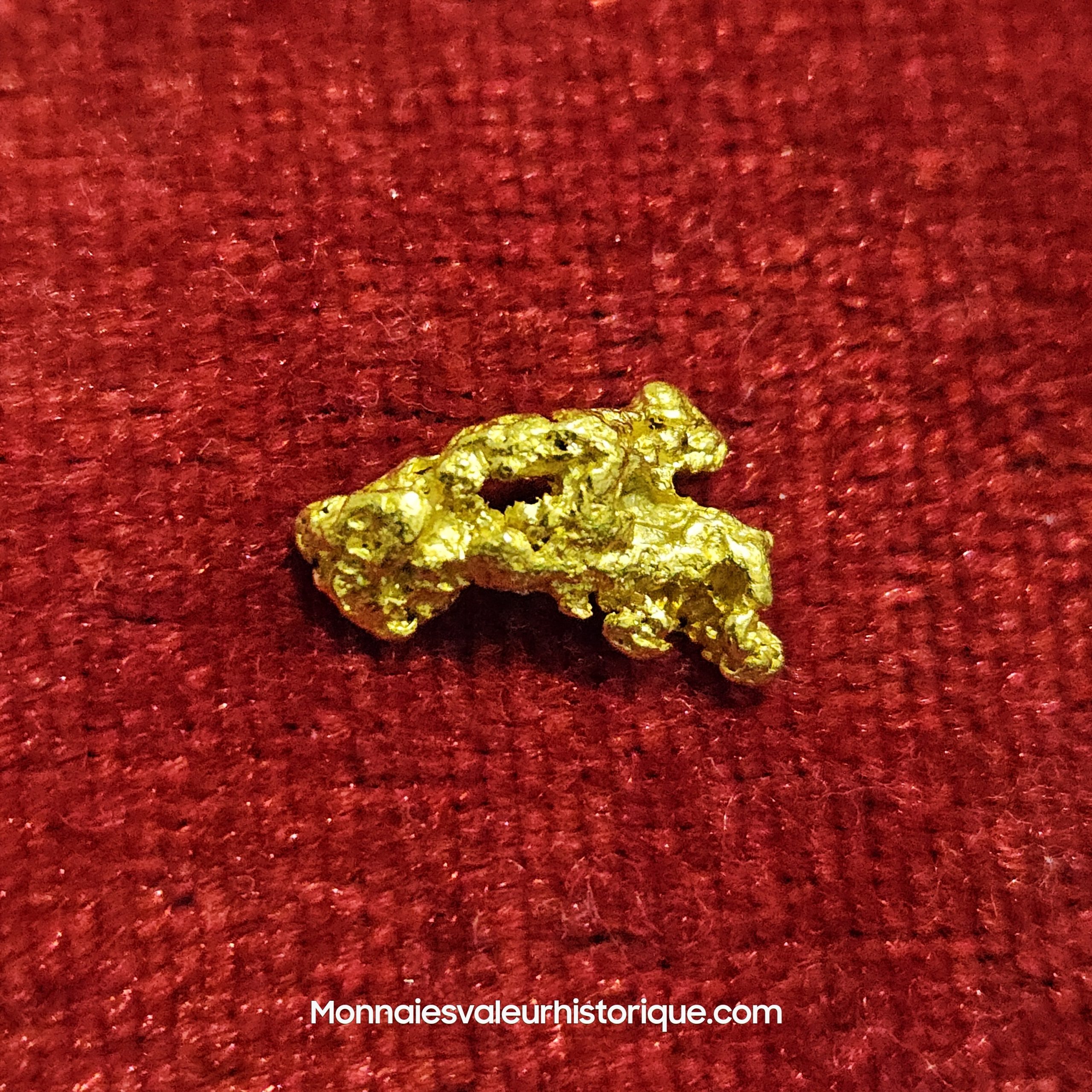 Photo de la pépite