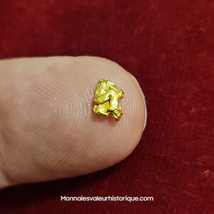 Pépite naturelle kalgoorlie Australie