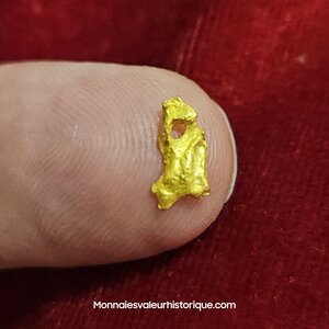 Pépite naturelle kalgoorlie Australie