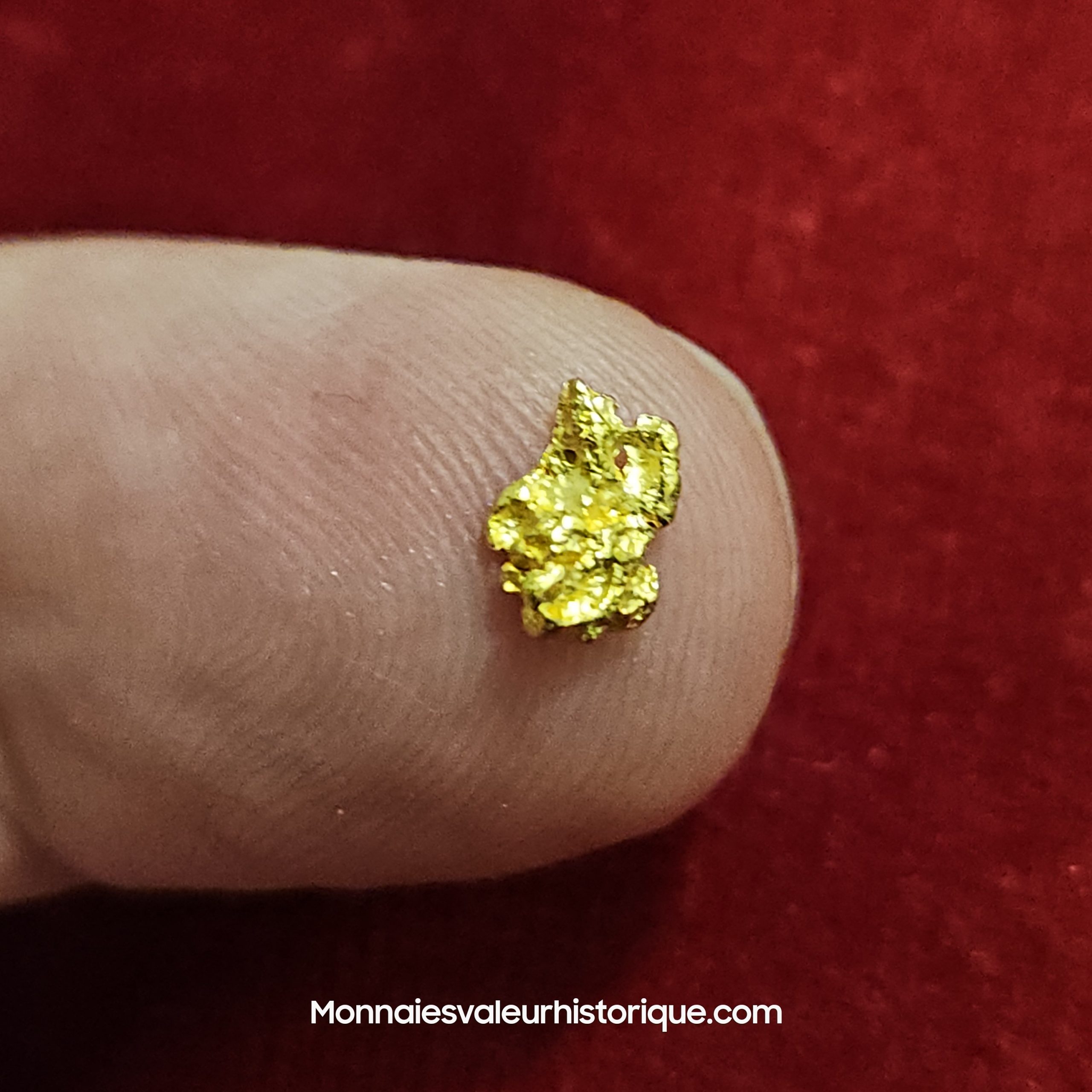 Pépite d'or naturelle - kalgoorlie Australie 736