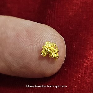 Pépite naturelle kalgoorlie Australie