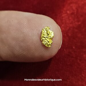 Pépite naturelle kalgoorlie Australie