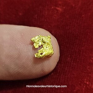 Pépite naturelle kalgoorlie Australie