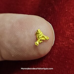 Pépite naturelle kalgoorlie Australie