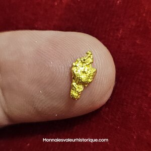 Pépite Naturelle Californie USA