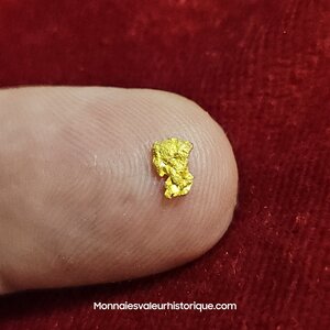 Pépite naturelle kalgoorlie Australie