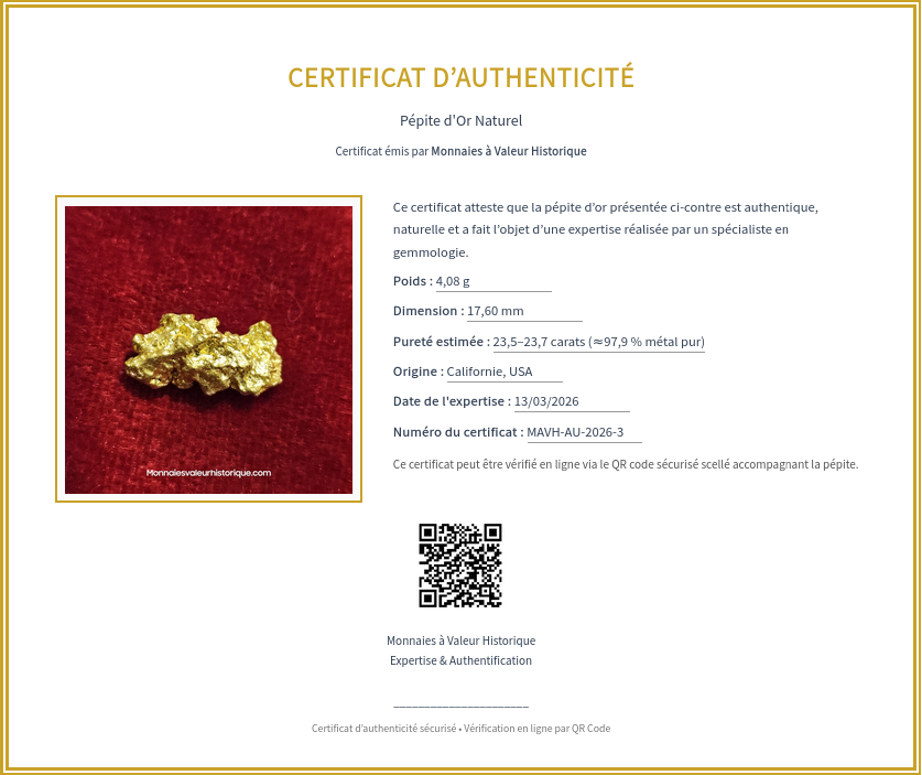 pépite d'or rare d'Australie