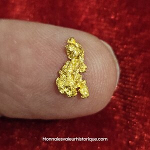 Pépite d'or naturelle - kalgoorlie Australie 140