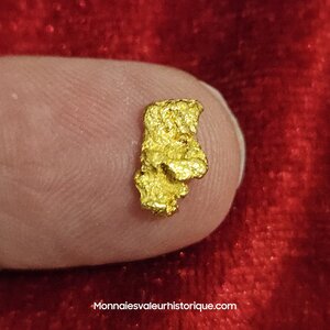 Pépite d'or naturelle - kalgoorlie Australie 148
