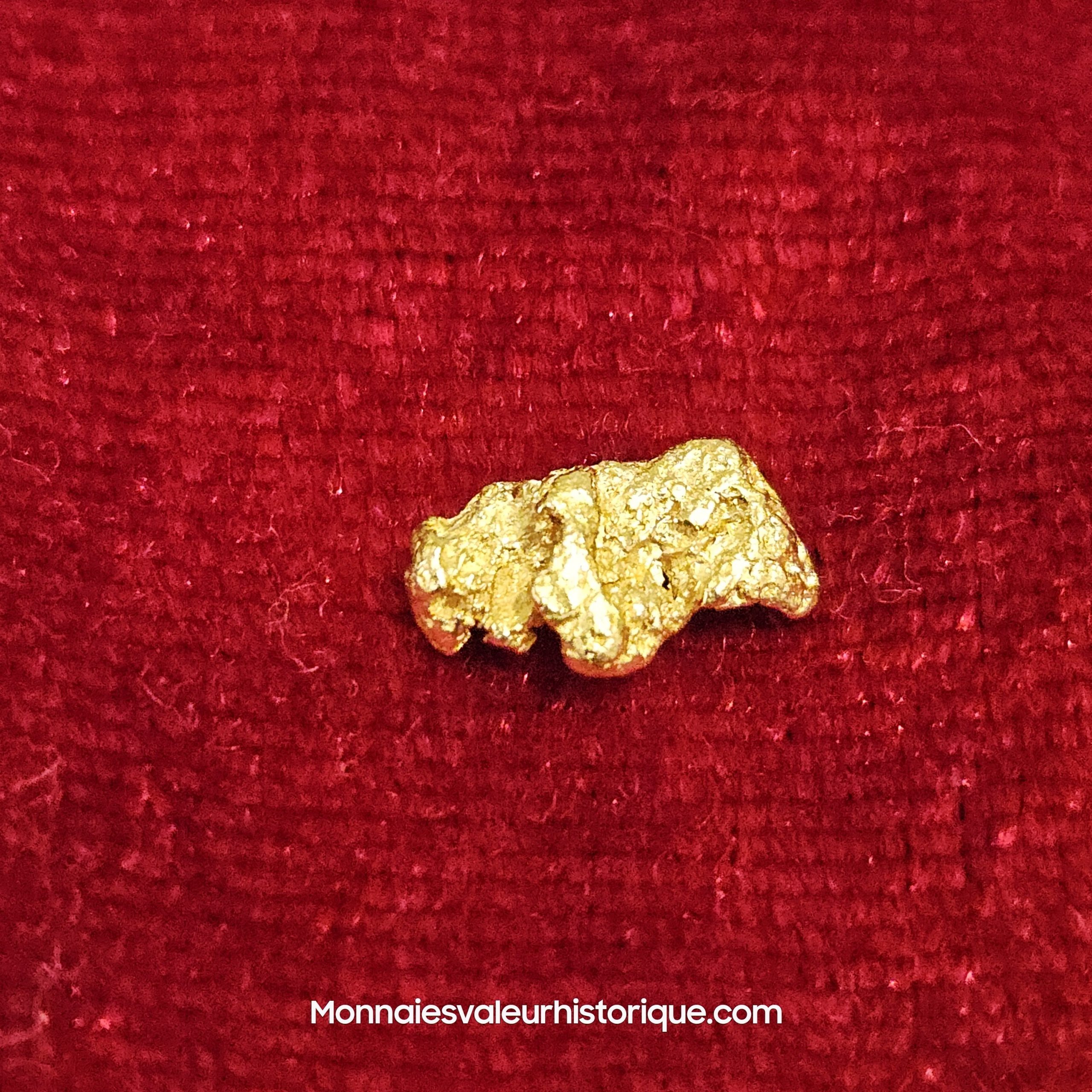 Photo de la pépite