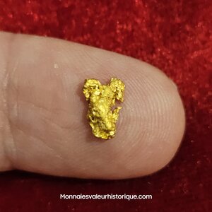 Pépite d'or naturelle - kalgoorlie Australie 651