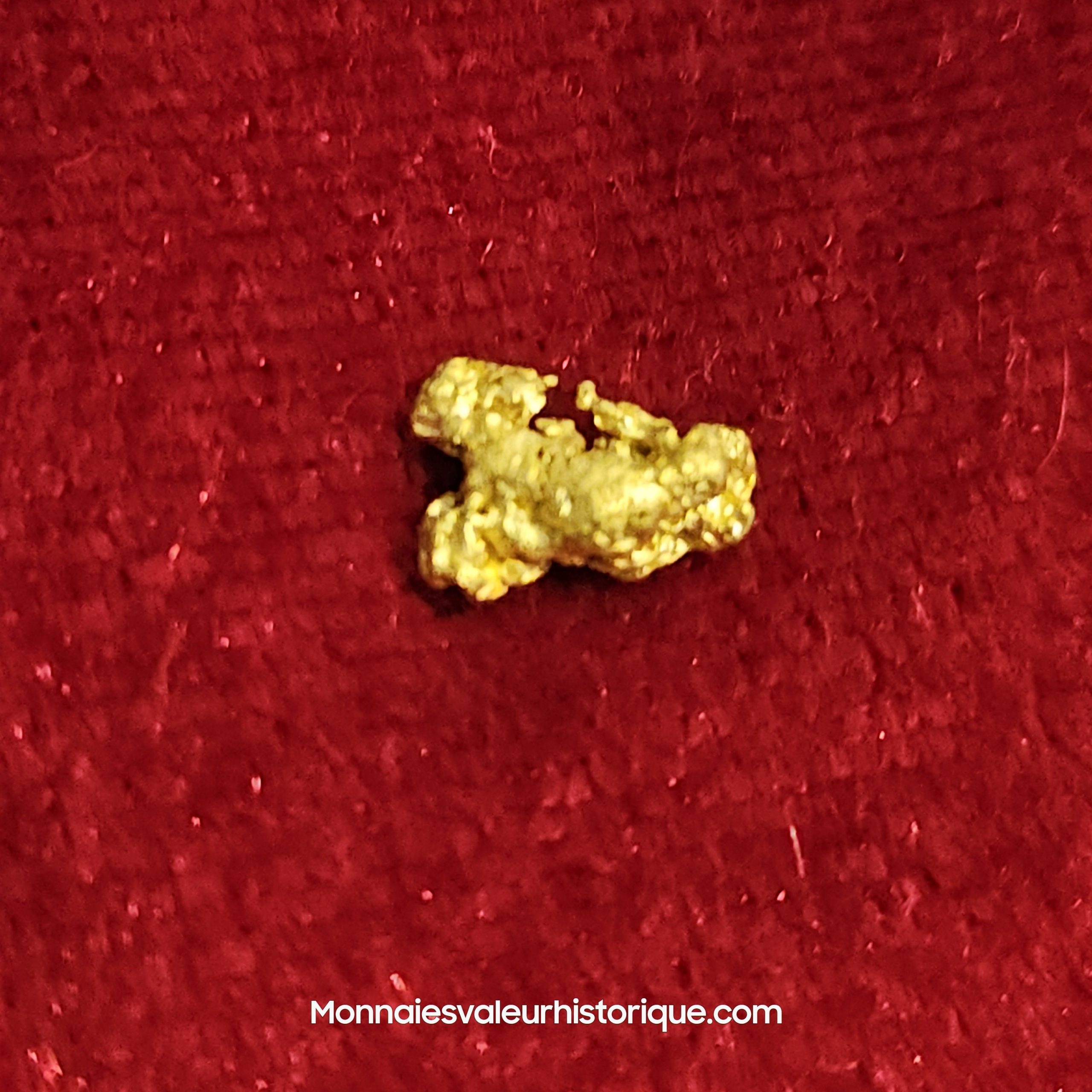 Photo de la pépite