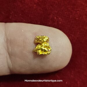 Pépite d'or naturelle - kalgoorlie Australie 654