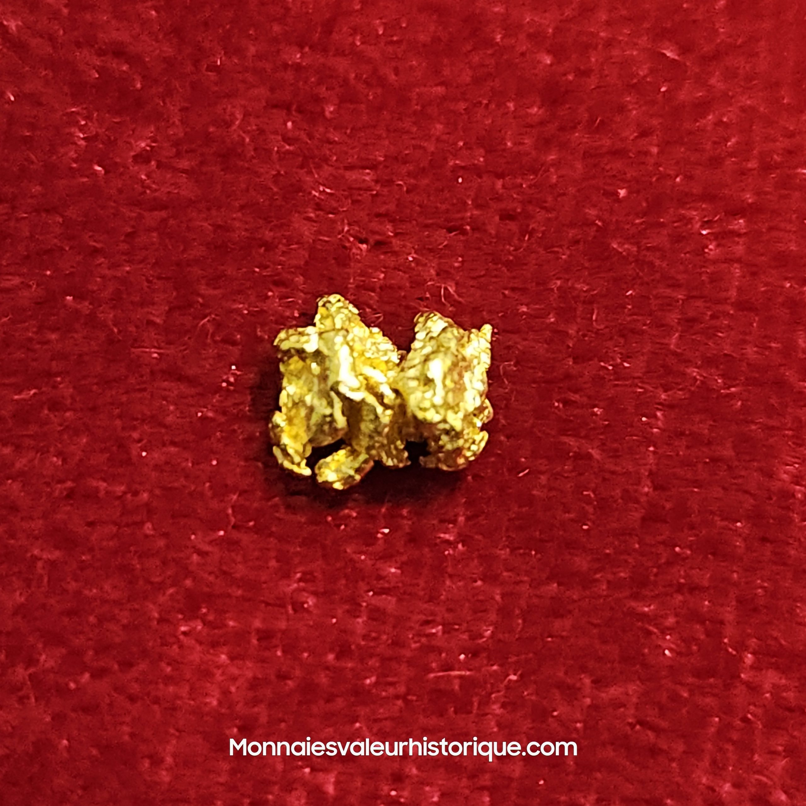Photo de la pépite