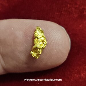 Pépite d'or naturelle - kalgoorlie Australie 262