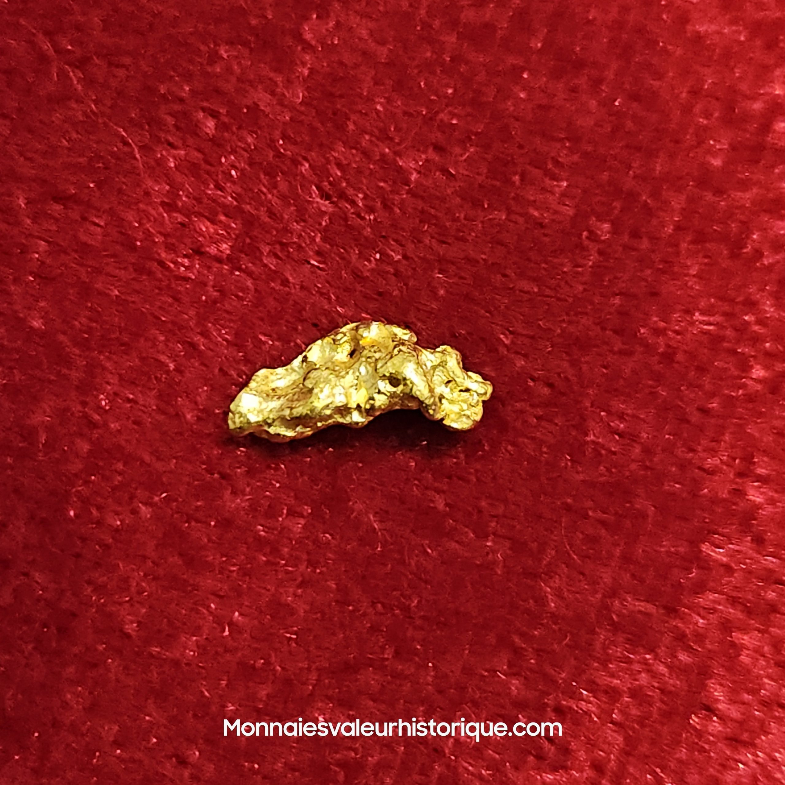 Photo de la pépite
