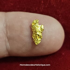 Pépite d'or naturelle - kalgoorlie Australie 273