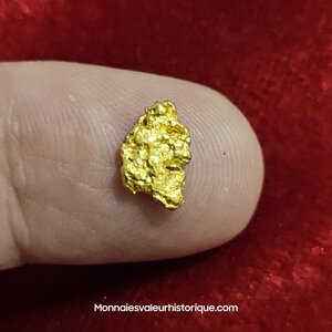 Pépite d'or naturelle - kalgoorlie Australie 274