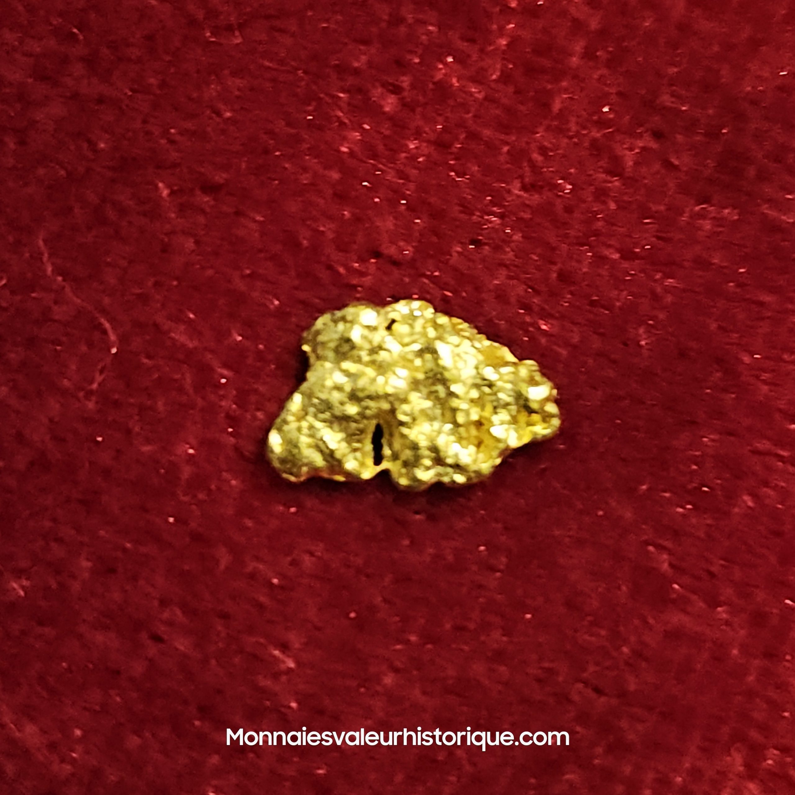 Photo de la pépite