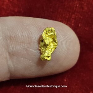 Pépite d'or naturelle - kalgoorlie Australie 284