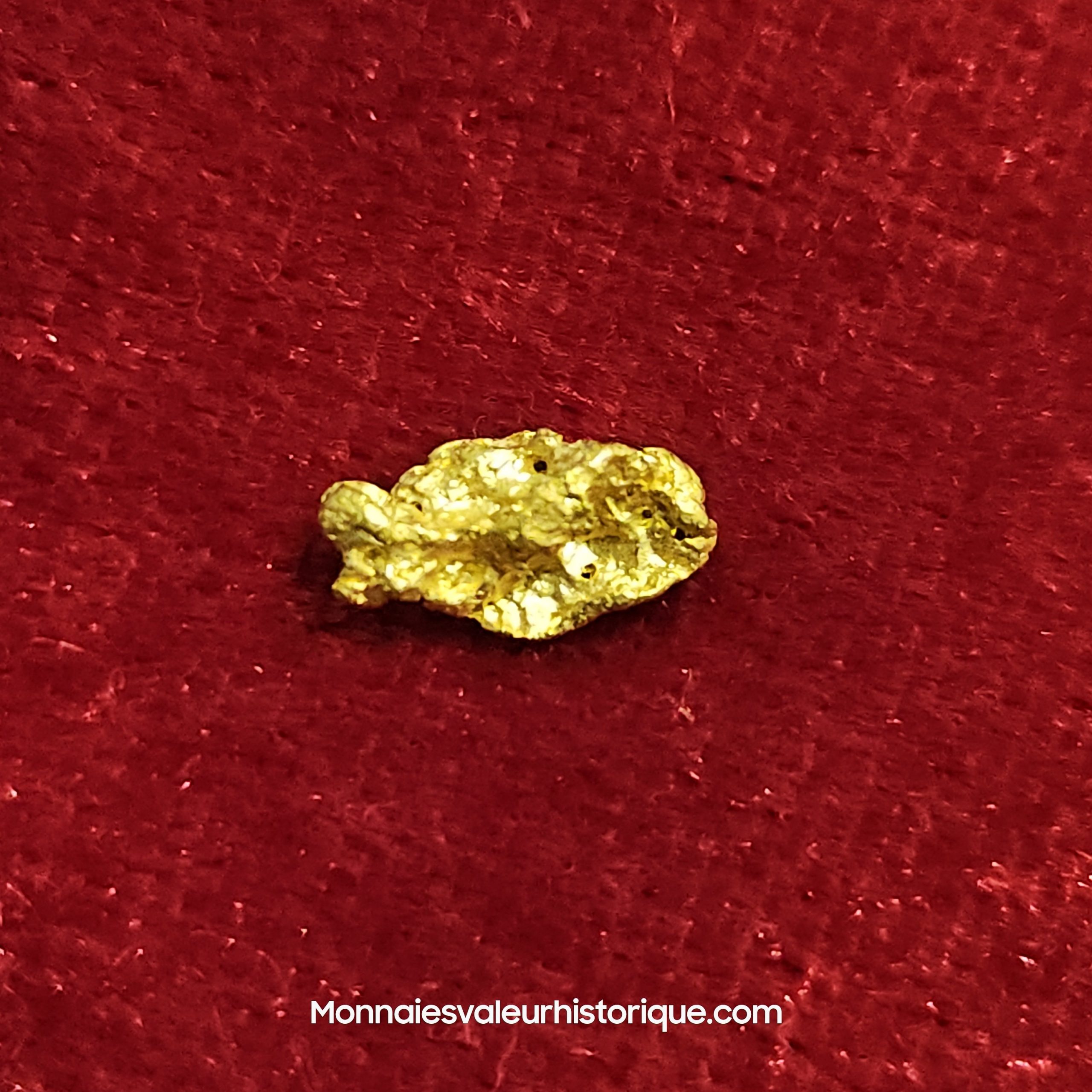 Photo de la pépite