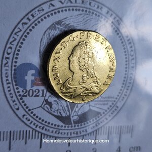 Louis d’Or aux Écus Ovales – Louis XV – 1738 Perpignan (Atelier Q)