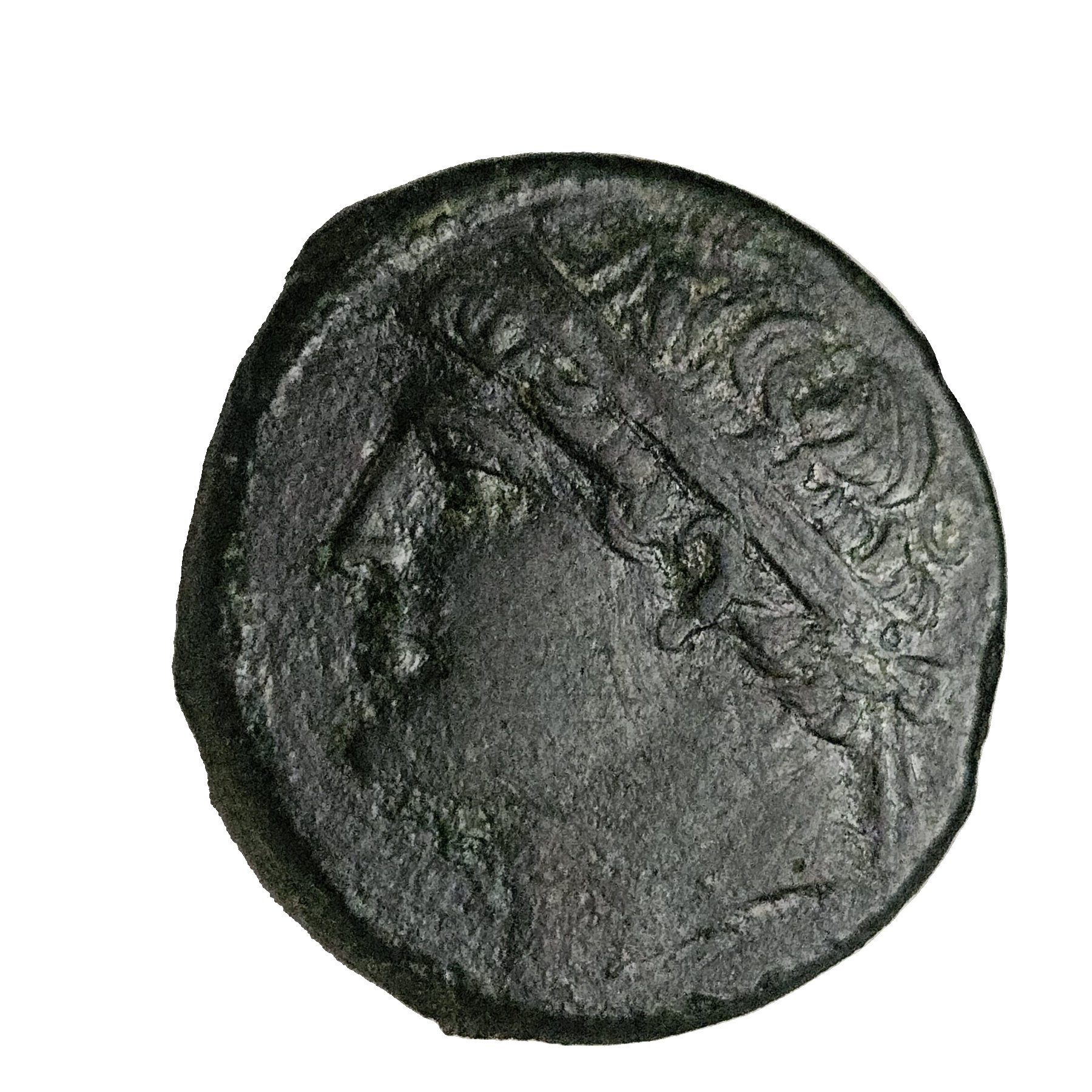 Hiéron II – Double litrai de Syracuse