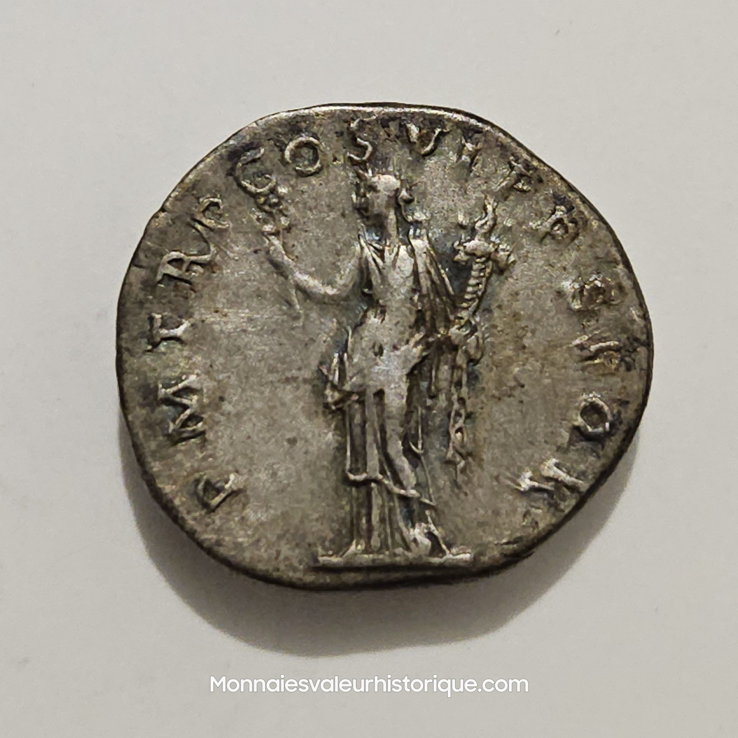 TRAJAN denier SUP – Image 2