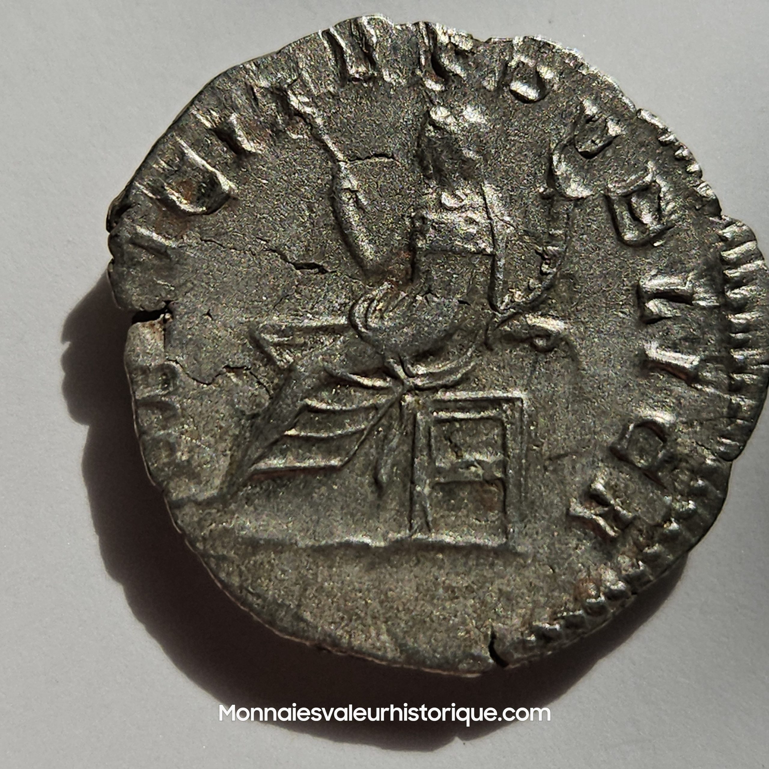 SALONINE Antoninien SUP – Image 2