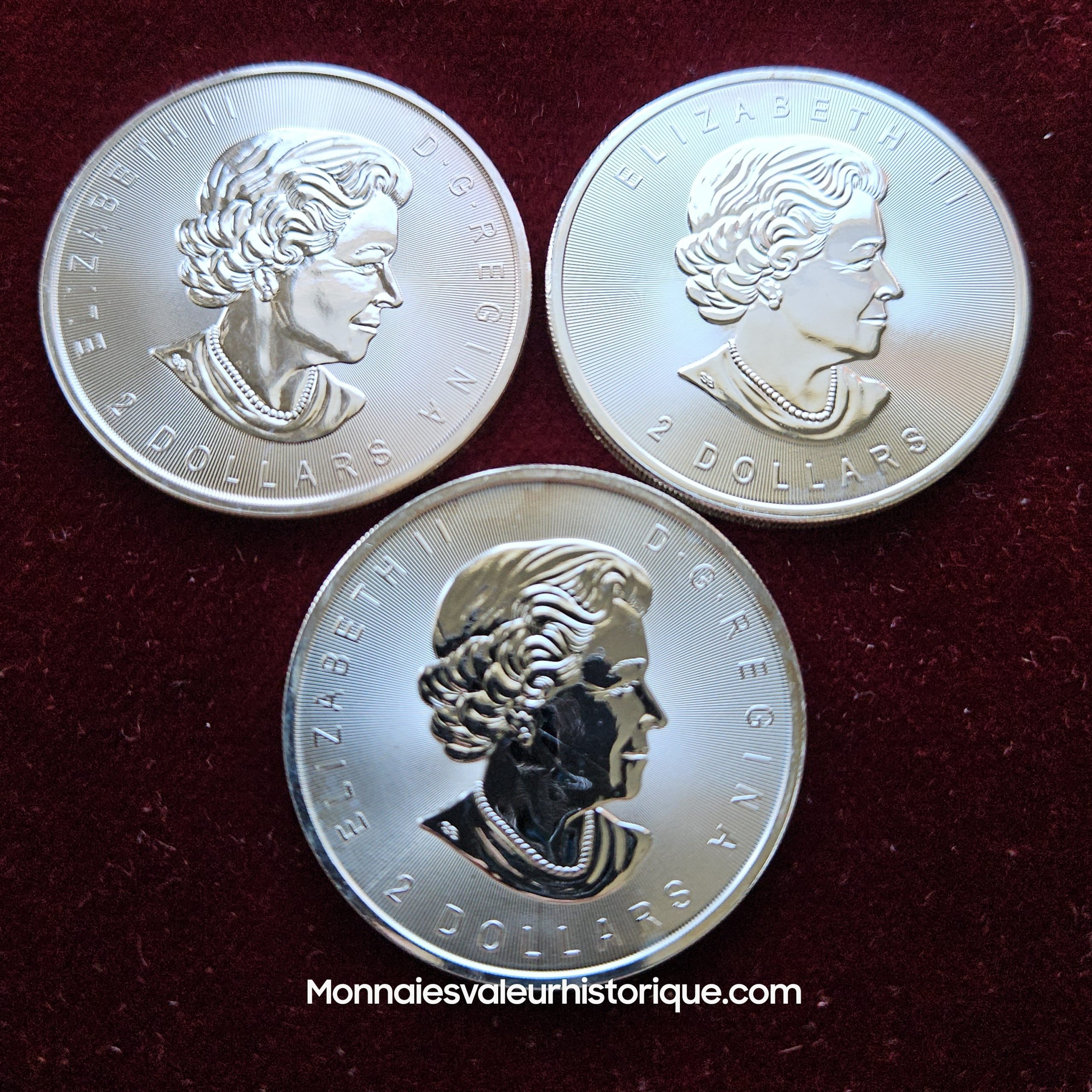 🇨🇦 Lot 2.25 oz Silver Canada – Série Faune 3/4 oz (2015, 2016, 2017) – 2 Dollars – Image 2