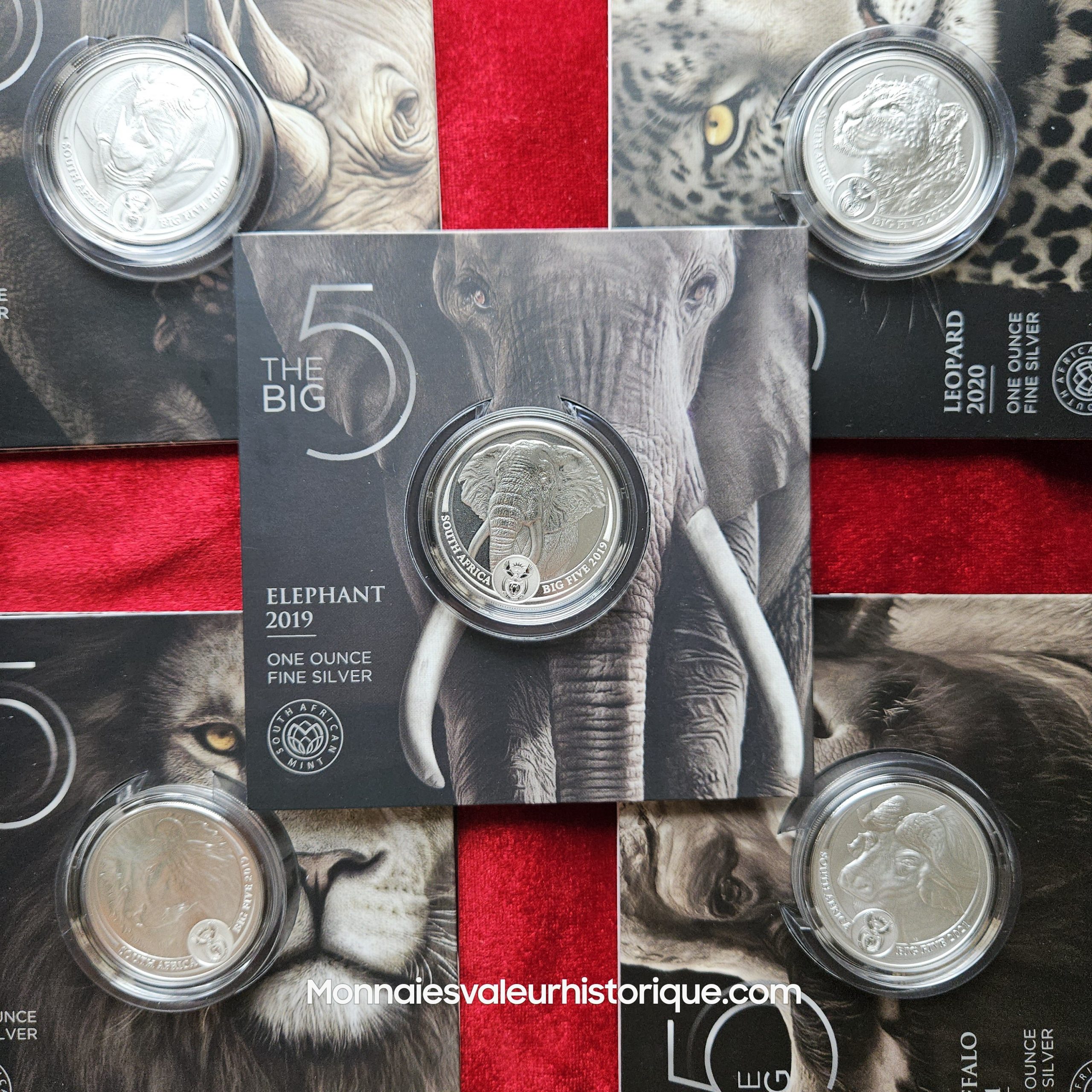 🇿🇦 Afrique du Sud – Série Complète 5 oz Silver Big Five (Série I : 2019–2021) – Image 8