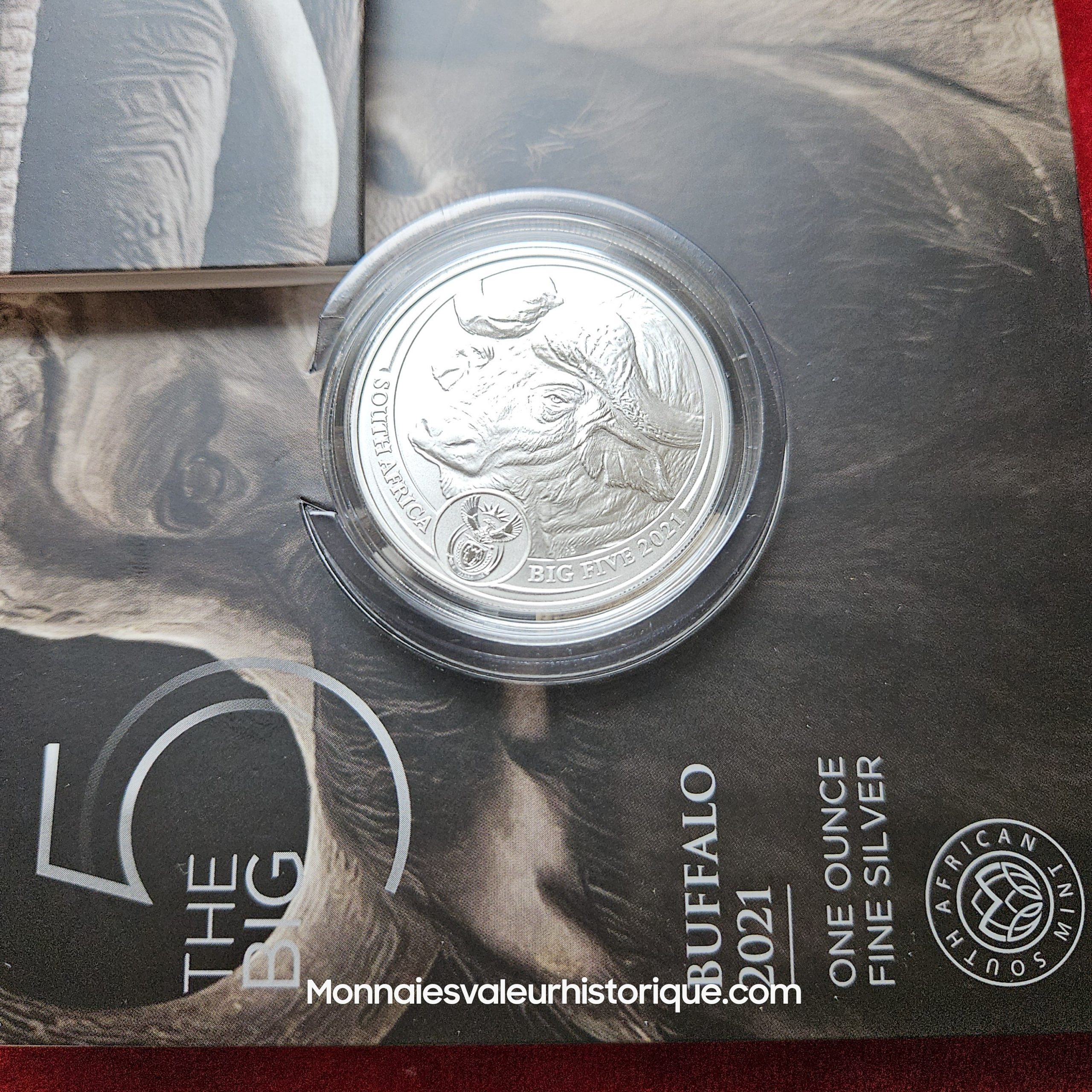 🇿🇦 Afrique du Sud – Série Complète 5 oz Silver Big Five (Série I : 2019–2021) – Image 5
