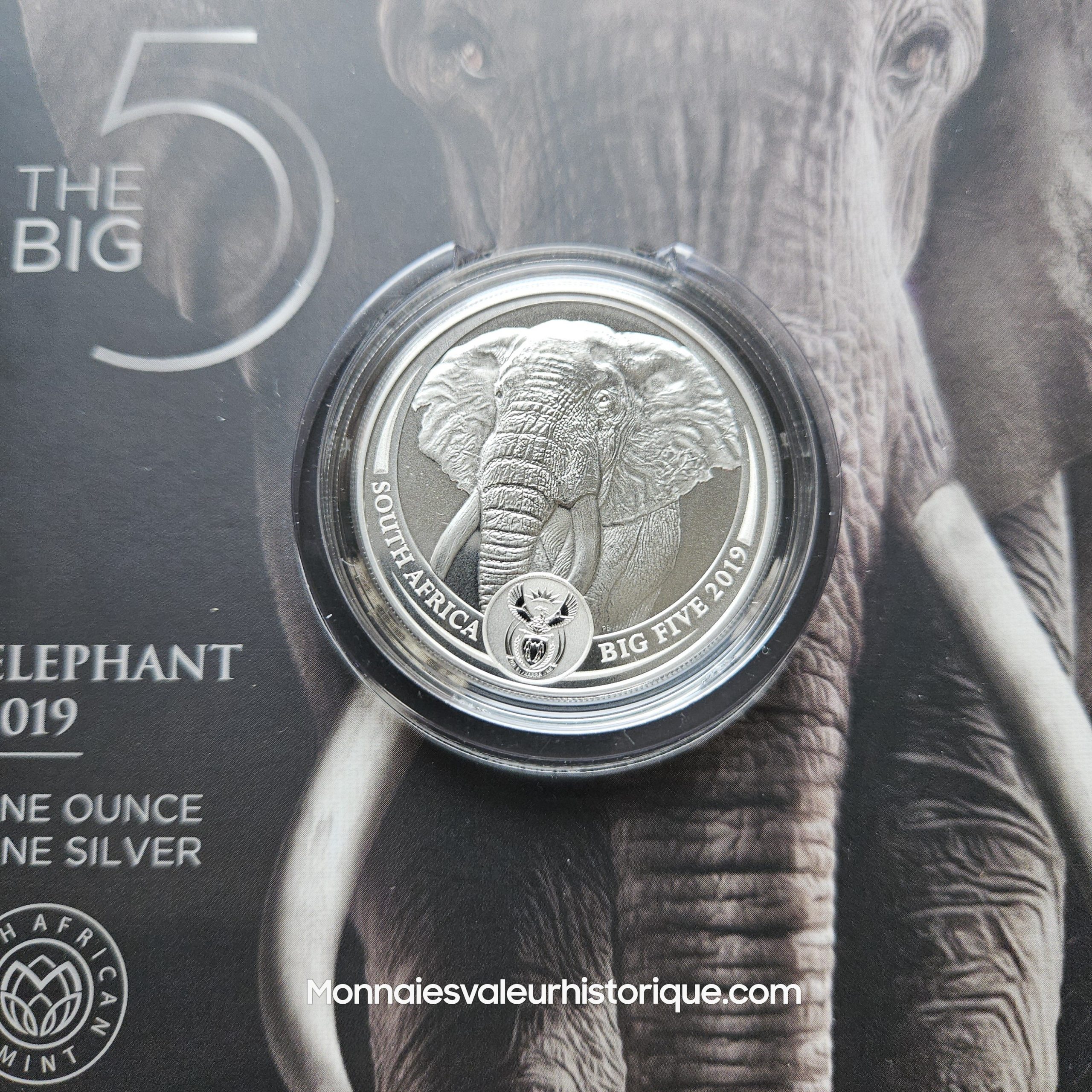 🇿🇦 Afrique du Sud – Série Complète 5 oz Silver Big Five (Série I : 2019–2021) – Image 3