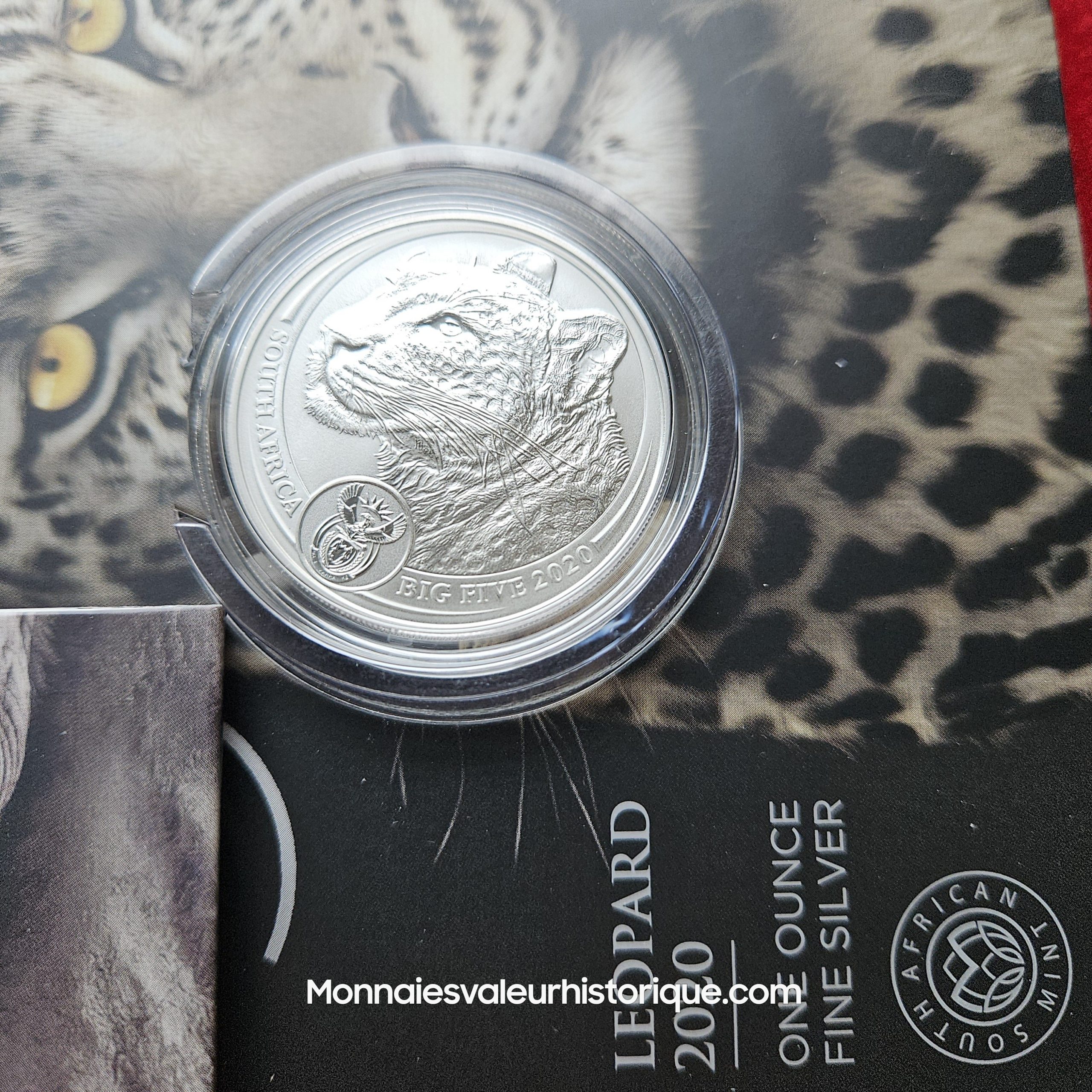 🇿🇦 Afrique du Sud – Série Complète 5 oz Silver Big Five (Série I : 2019–2021) – Image 4