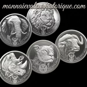 🇿🇦 Afrique du Sud – Série Complète 5 oz Silver Big Five (Série I : 2019–2021)