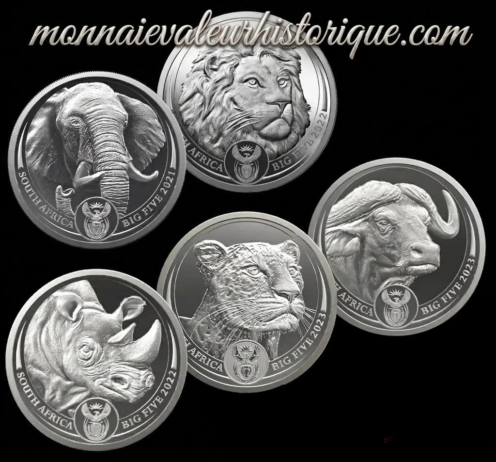 🇿🇦 Afrique du Sud – Série Complète 5 oz Silver Big Five (Série I : 2019–2021)