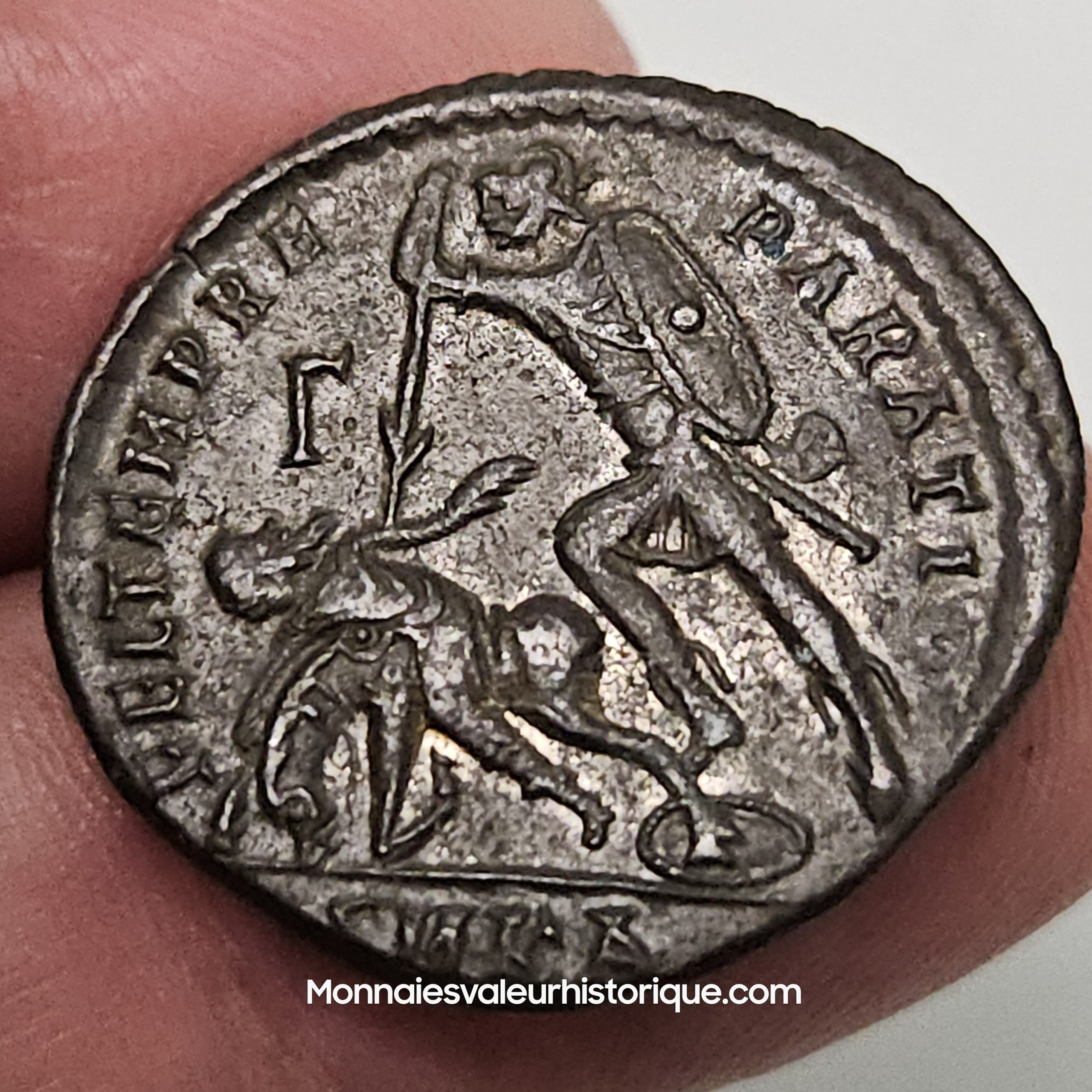 CONSTANCE II Maiorina – Image 2